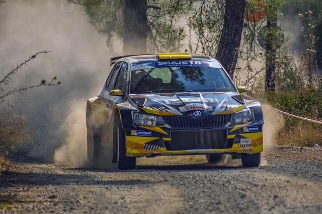 Select Rally Racing