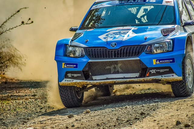 Select Rally Racing