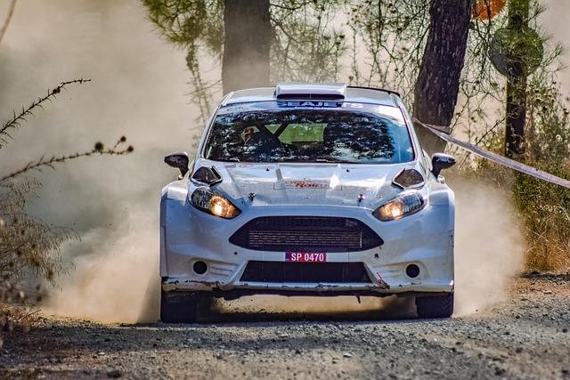 Select Rally Racing