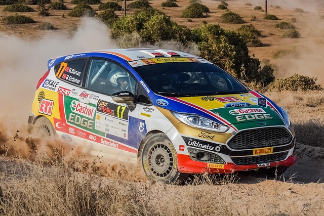 Select Rally Racing