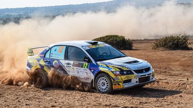 Select Rally Racing
