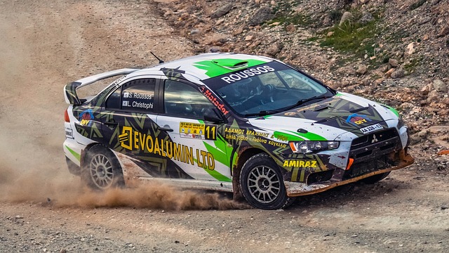 Select Rally Racing