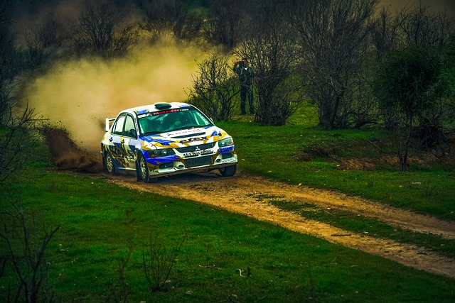 Select Rally Racing