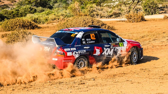 Select Rally Racing