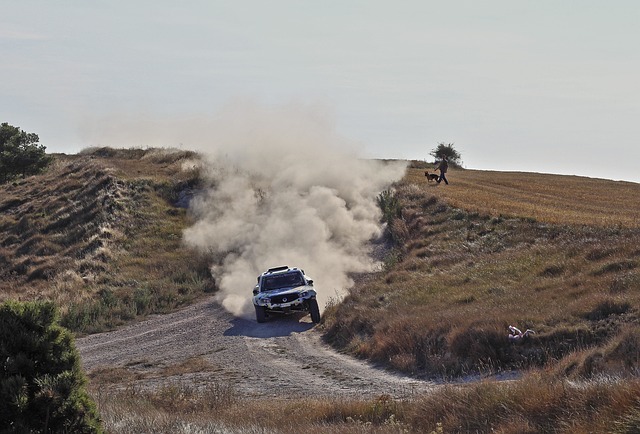 Select Rally Racing