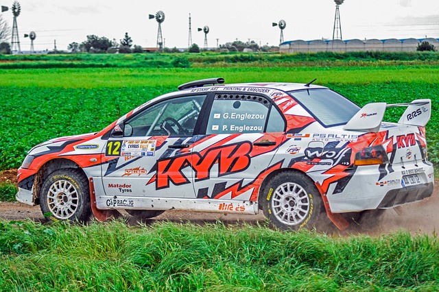 Select Rally Racing