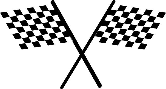Select Rally Racing