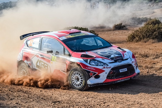 Select Rally Racing
