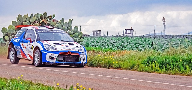 Select Rally Racing