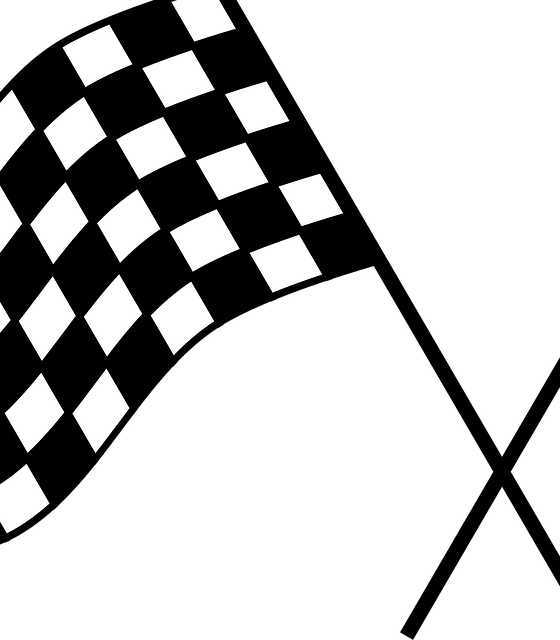 Select Rally Racing