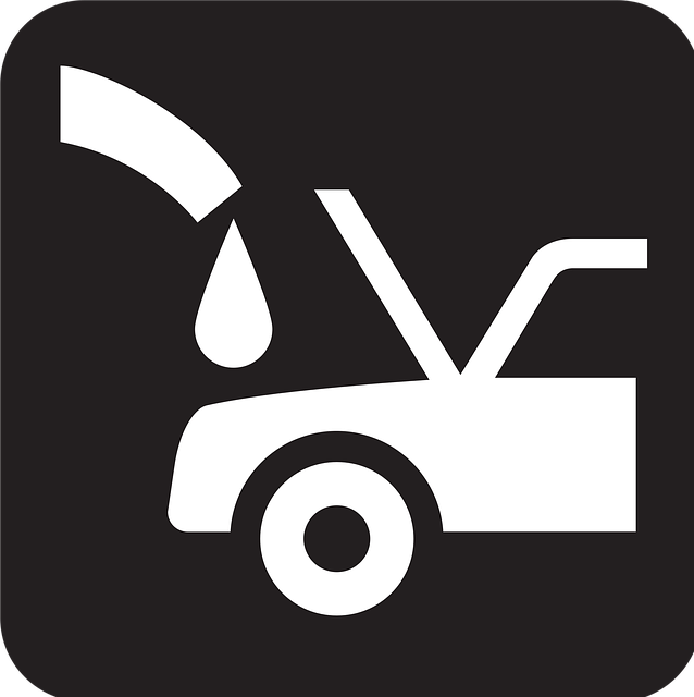 Select Ride-Hailing Services