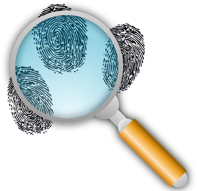 Unlocking Car Truths: Riverside CA’s VIN Inspection for Informed Ownership