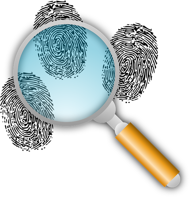 Select riverside ca vin inspector