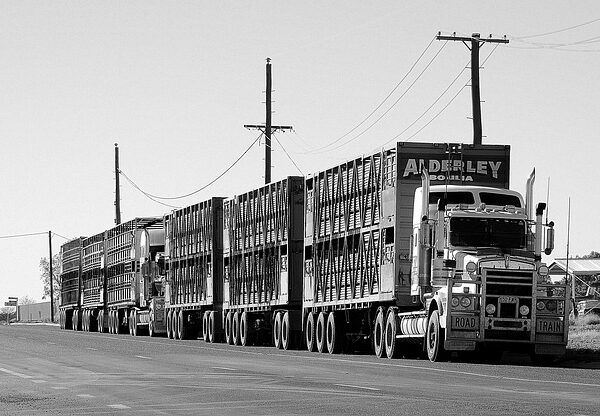 select-semi-trucks-640x480-1353204.jpeg