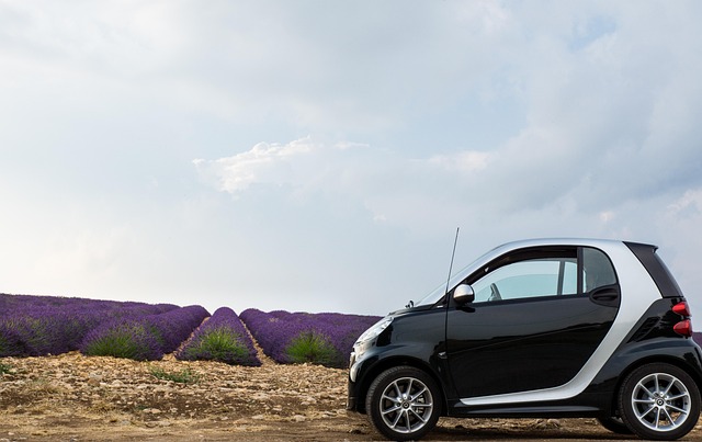 Select Smart Car Tech