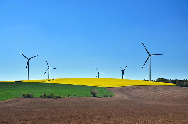 Select Sustainable Vehicles