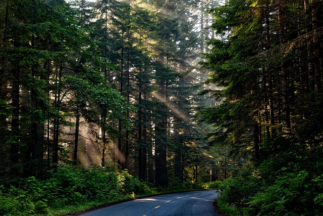 Select Travel to California