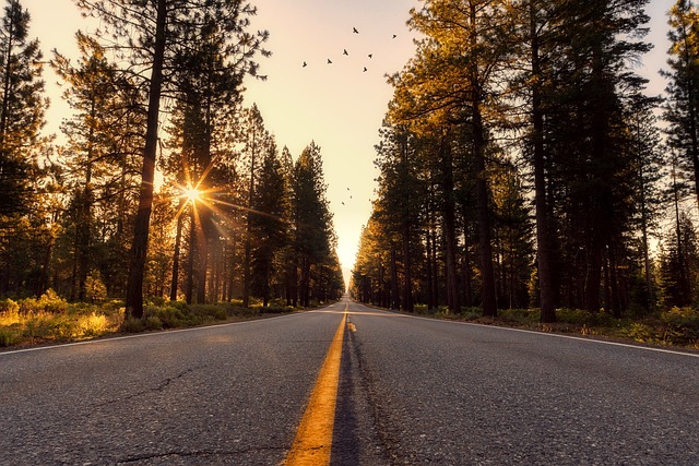 Select Travel to California