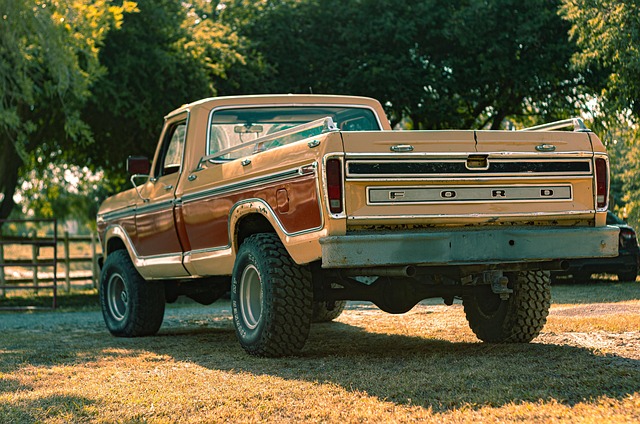 Select Vehicle History Reports