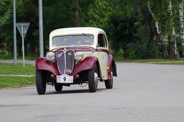Select Vehicle History Reports
