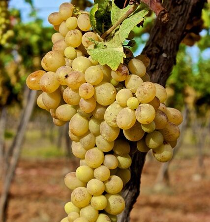 select-vin-verification-near-me-riversid-640x480-26580120.jpeg