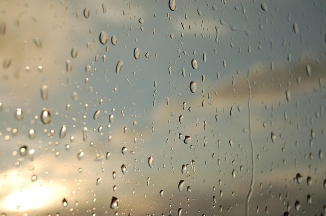 Select Window Tinting