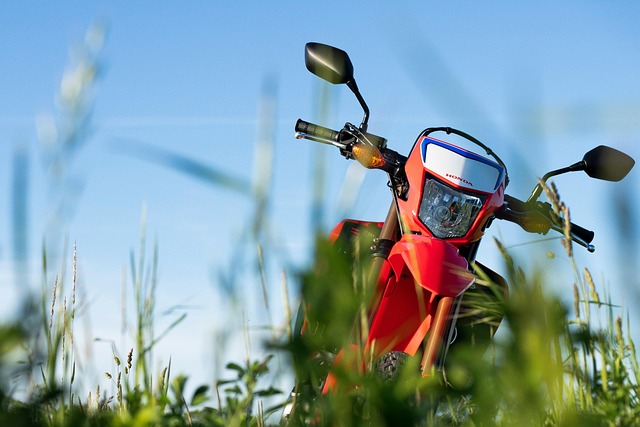 motorcycle