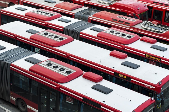 Select Buses