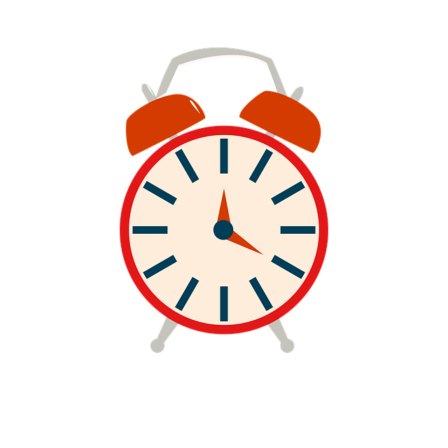 Select Car Alarms
