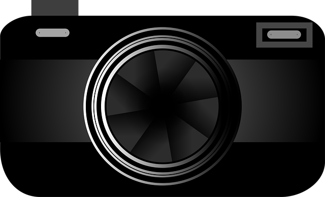 Select Dash Cams: Discreetly Capture Safety Insights