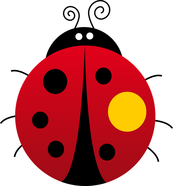 Select DOT Compliance