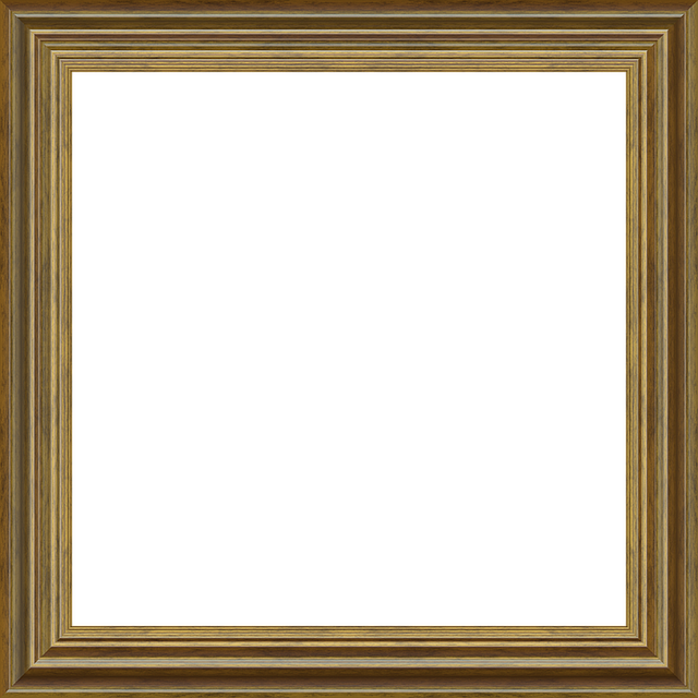 Select Frame Repair