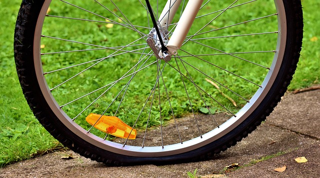 Select Frame Repair