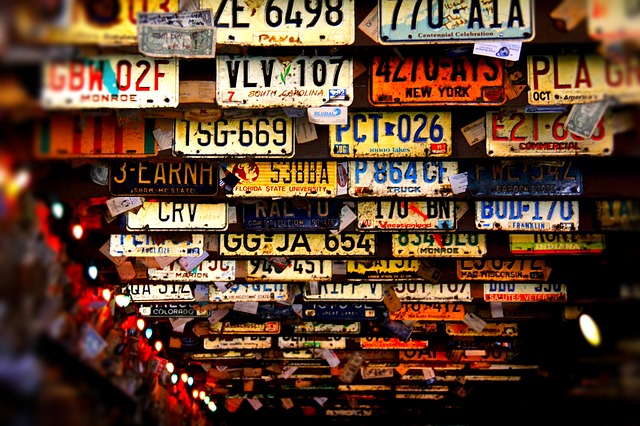 Select License Plate Privacy