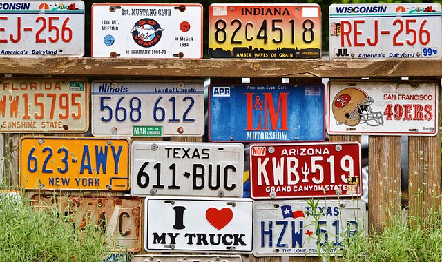 Select License Plate Privacy