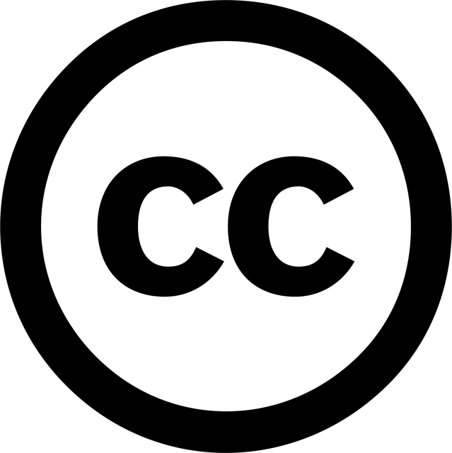 select-license-plate-privacy-640x480-670302.png