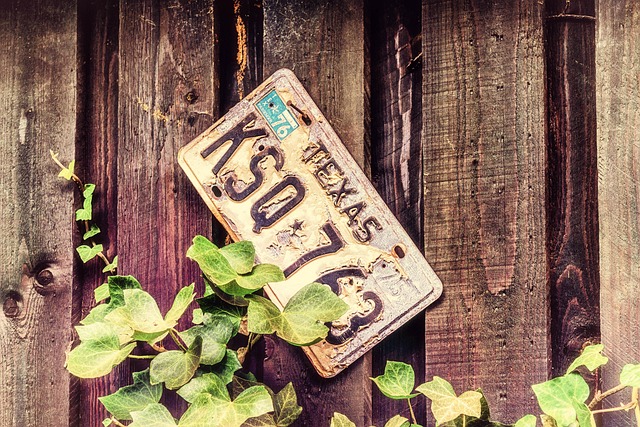 Select License Plate Privacy