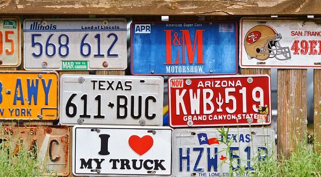 Select License Plate Privacy