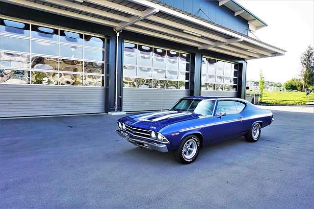 Select Muscle Cars