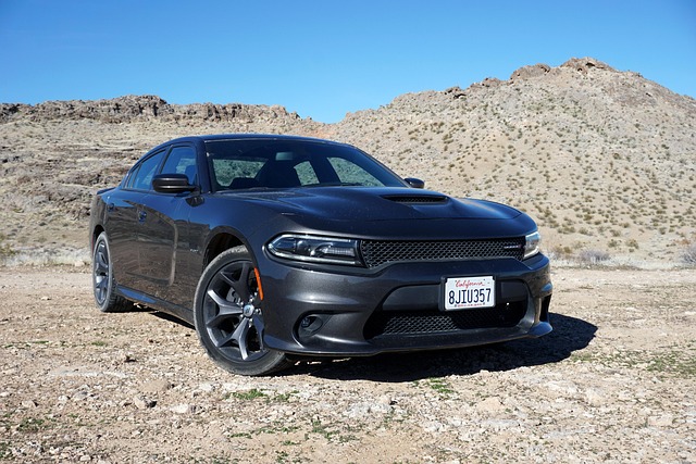 Select Muscle Cars