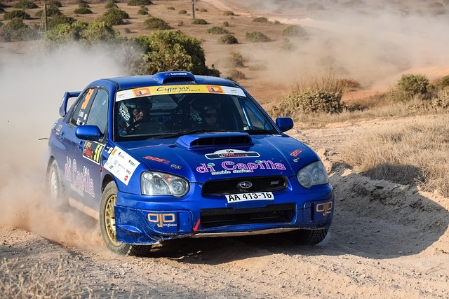 Select Rally Racing