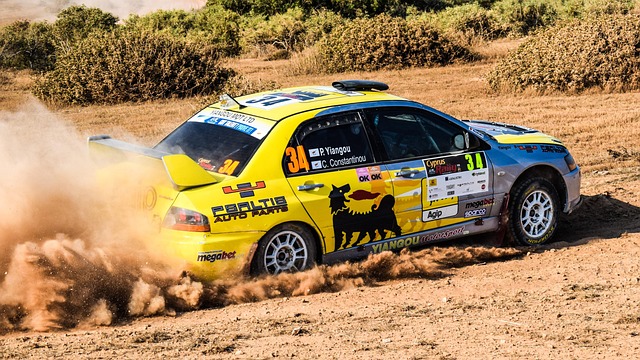 Select Rally Racing