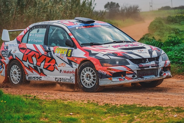 Select Rally Racing