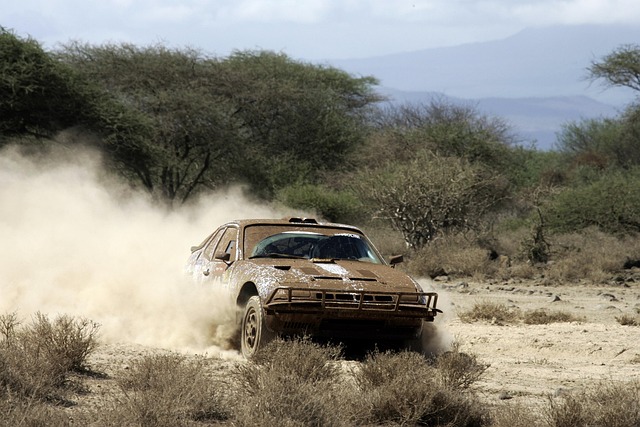 Select Rally Racing