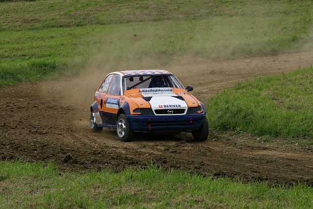 Select Rally Racing