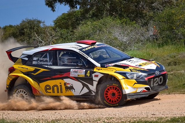 Select Rally Racing
