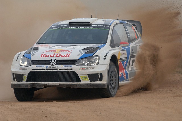 Select Rally Racing