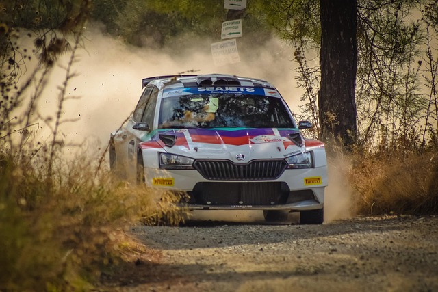 Select Rally Racing