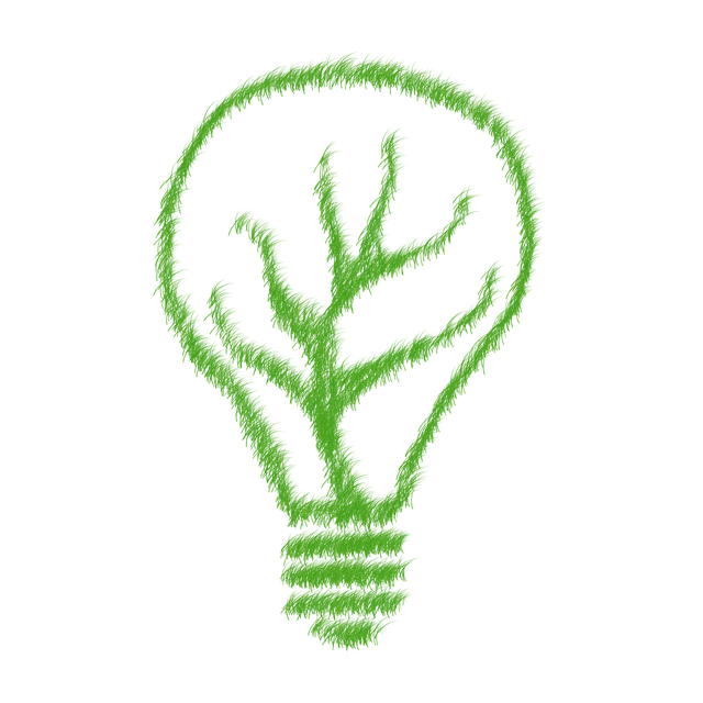 Select Sustainable Vehicles