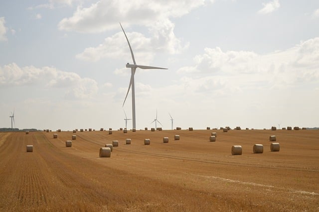 Select Sustainable Vehicles